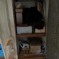 画像478